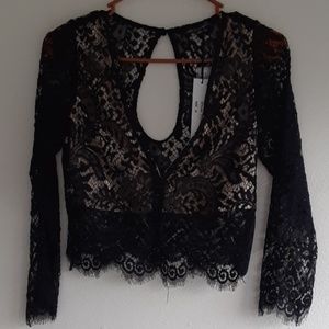 V Neck 3/4 Sleeve Crop Top